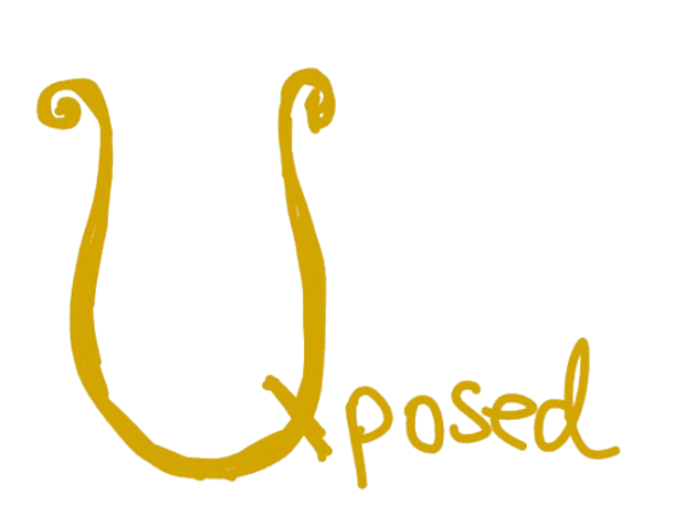 Project screenshot